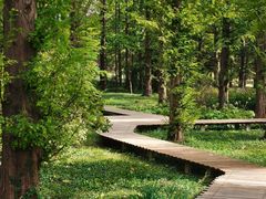 -国家植物园南园