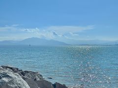 -深圳湾公园(南山区)