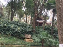 -采石矶景区