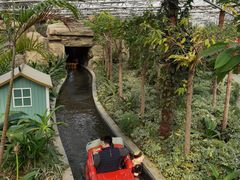 -南宫五洲植物乐园