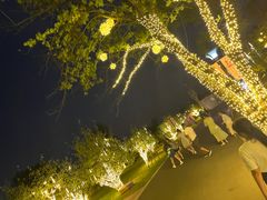 -祥源·阜阳生态乐园