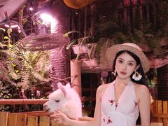 -正佳雨林生态植物园