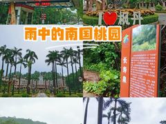 -南国桃园旅游度假区