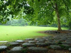 -西湖外事游船(花港观鱼码头)