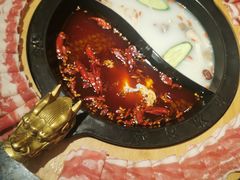 -蜀大侠火锅(森兰花园城店)