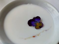 -鑫悦诚府·新鲁菜·餐厅(趵突泉店)