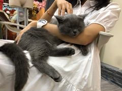 -宠颐生宠物医院外科·内科·皮肤科·影像科(石龙店)