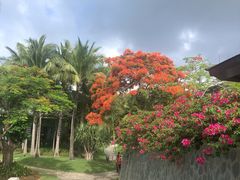 -石梅湾艾美度假酒店