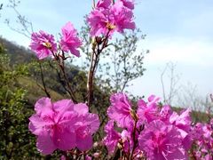 -白草畔自然风景区