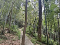 -上海佘山国家森林公园天马山园