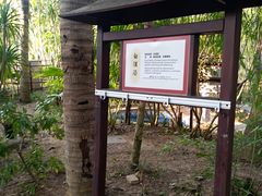 -三亚海棠湾南田温泉神龙谷