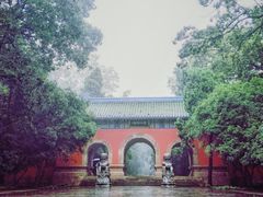 -灵谷景区