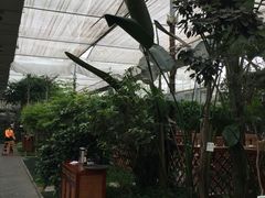 -汤山翠谷生态餐厅