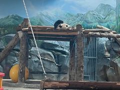 -武汉动物园