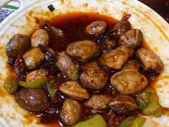 没开口的辣炒蛤蜊-老姑砂锅·烧烤天津菜(体北道店)