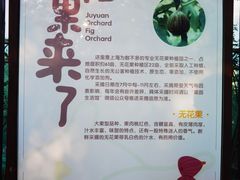 -菊园百果园
