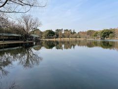 -上海共青森林公园