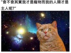 -Perry's·酒吧(打浦桥店)