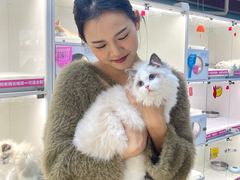 -lincat·猫舍(广州店)