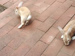 -西部长青自然儿童乐园