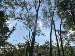 -佛山市三水区大南山森林公园