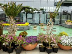 -南通洲际绿博园