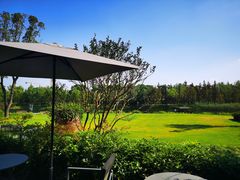 -养云安缦吧THE BAR