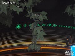 -上海青松城大酒店