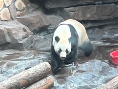 -济南野生动物世界