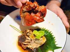 -打酱油·非遗淮扬菜(瘦西湖梅岭老店)