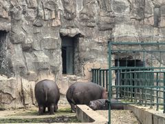 -哈尔滨北方森林动物园
