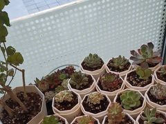 -金一口腔·舒适化正畸·儿牙中心