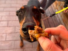 -Catch Bagel(芳草地店)