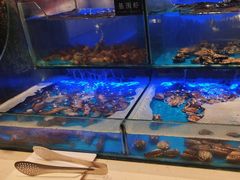 -SEA西雅图海鲜自助餐厅(海乐世界店)