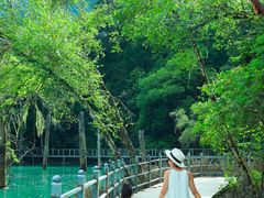 -叠溪松坪沟景区