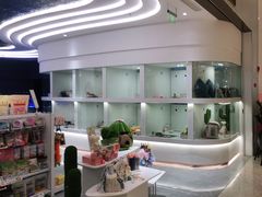 -1013 PET SHOP精品宠物商店(丁香店)
