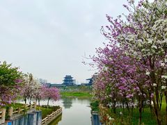 -海珠湖公园