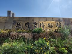 -昆明市博物馆(昆明市文物保护和考古研究中心)