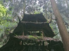 -青城山