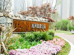 -府河摄影公园
