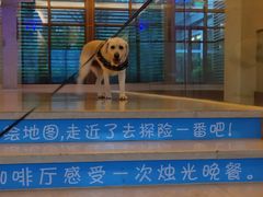 -宁波九龙湖开元度假村