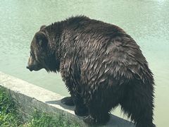 -上海野生动物园