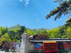 -阳台山自然风景区