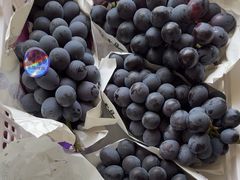 -马陆小张葡萄园农家乐