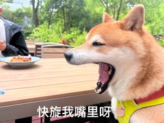 -榖屋house of flour(张江首店)