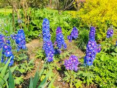 -北京植物园南门售票处