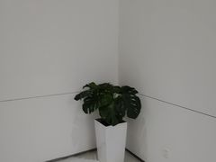 -极简口腔(总院)