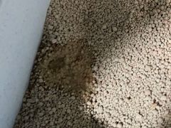 -甄爱宠物医院(疏影路店)