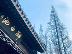 -上海醉白池公园