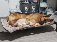 -美联众合24小时·皮肤科·外科·全科诊疗中心(华苑分院)